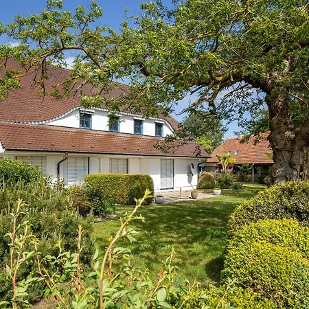 Boddenstern 公寓 *